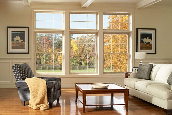 https://windowdigest.com/wp-content/uploads/2022/10/ellisonwindows.com-double-hung-window-manufacturer.jpg.webp