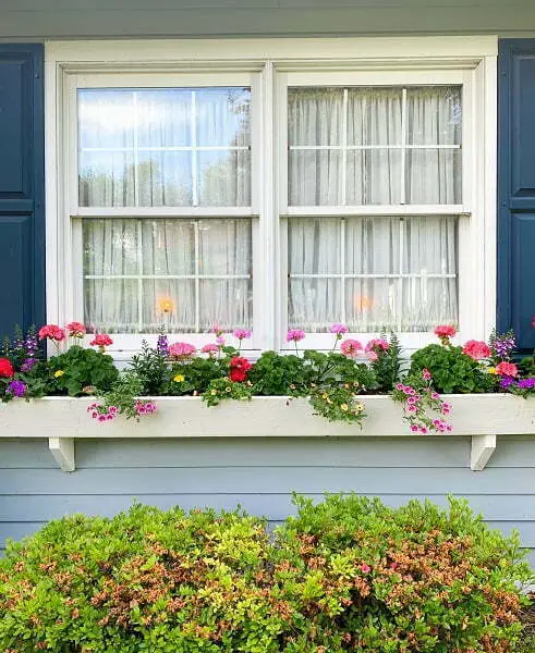 window box