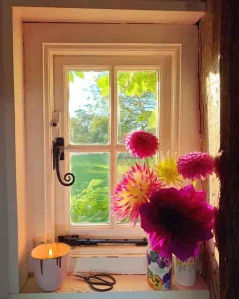 Massive Dahlias and a Candle in Front of a Tiny Window old window