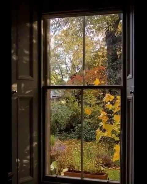 Rustic Autumn Window View old window