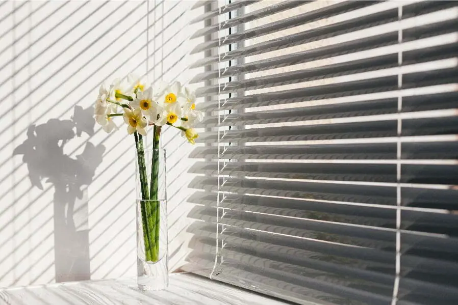 energy efficient window treatment