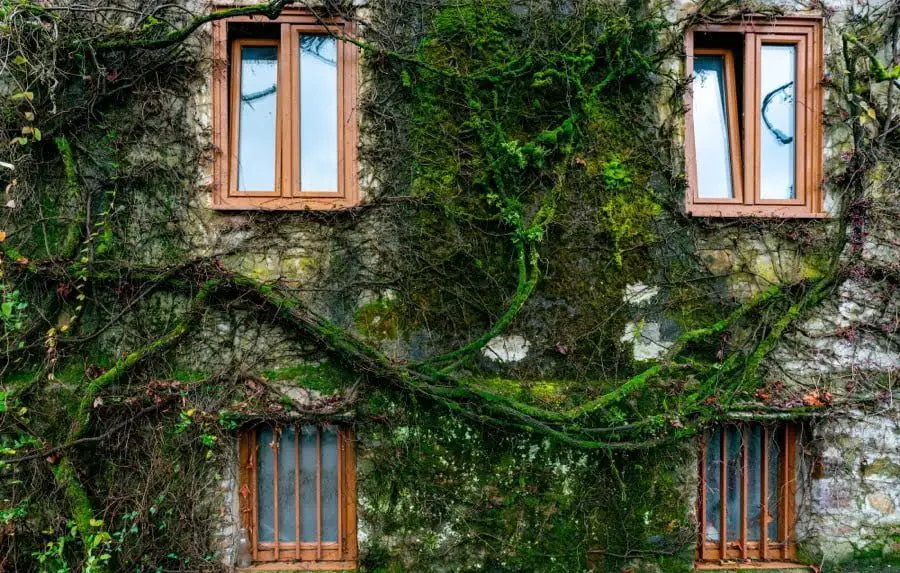 eco-friendly windows