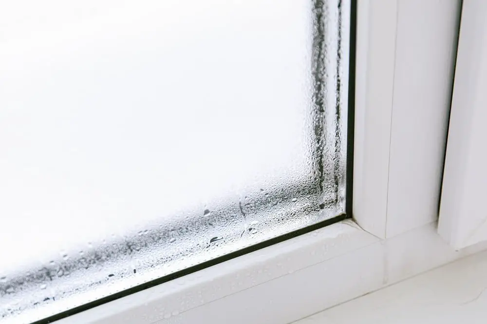 house Window Condensation