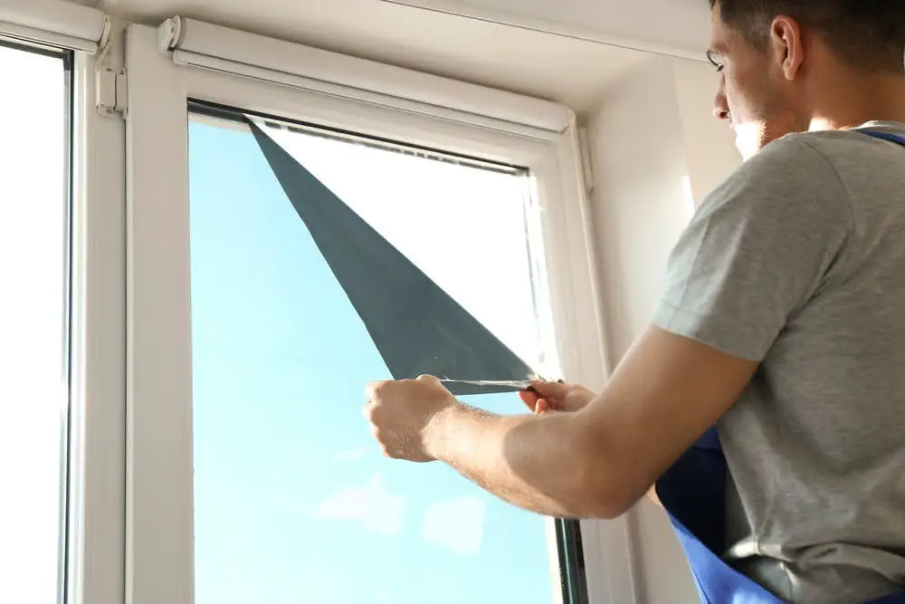 window film application