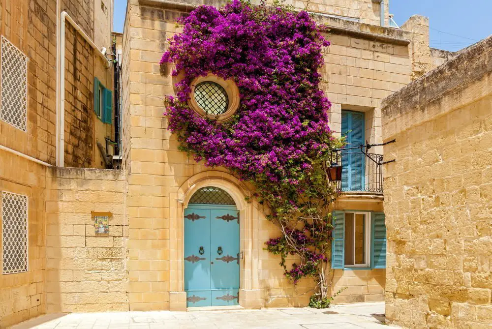 Understanding Malta Window Sizes: Guide and Measurements