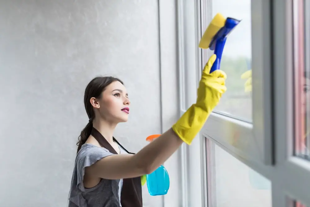 Window Cleaning