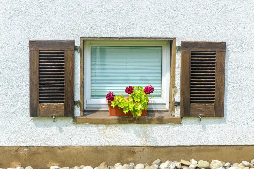 basement window flower