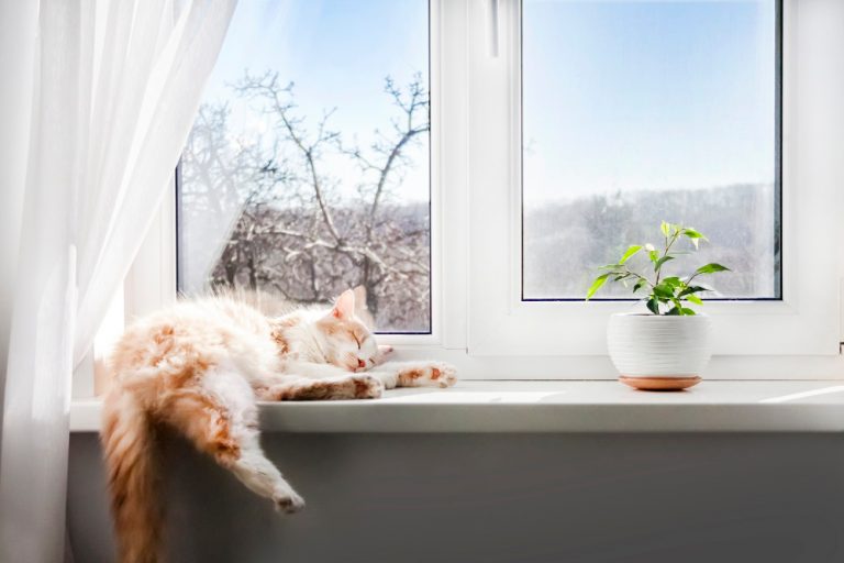 Understanding the Window Sill Definition, Types, and Functions