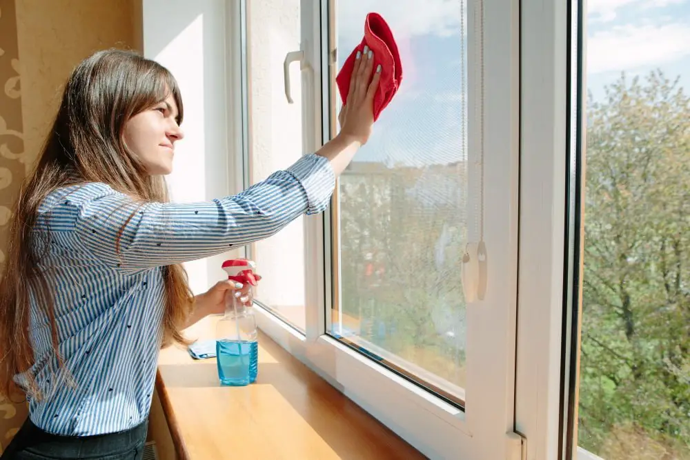 cleaning home window
