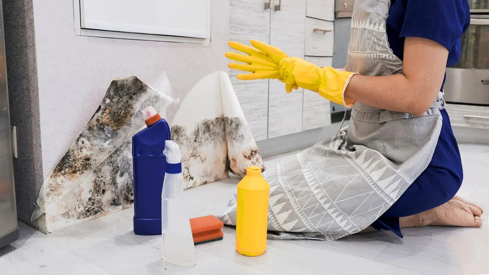 cleaning molds with vinegar