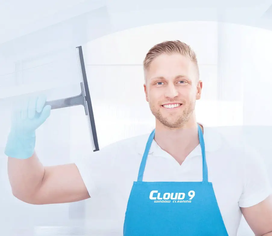 Cloud 9 Window Cleaning High Rise Window Cleaning Company