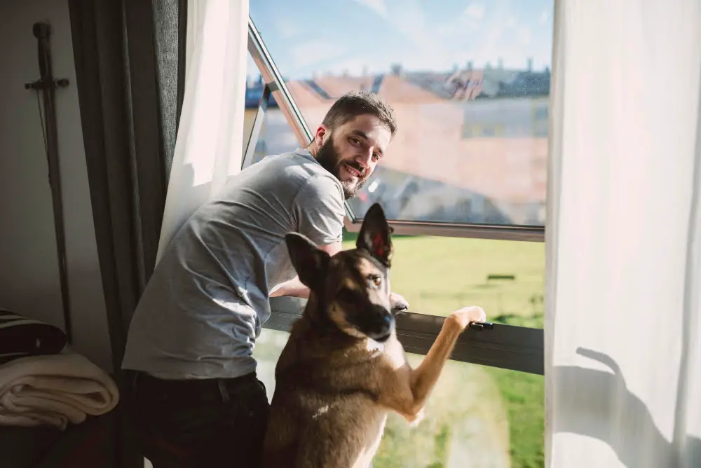 indoor dog training near window