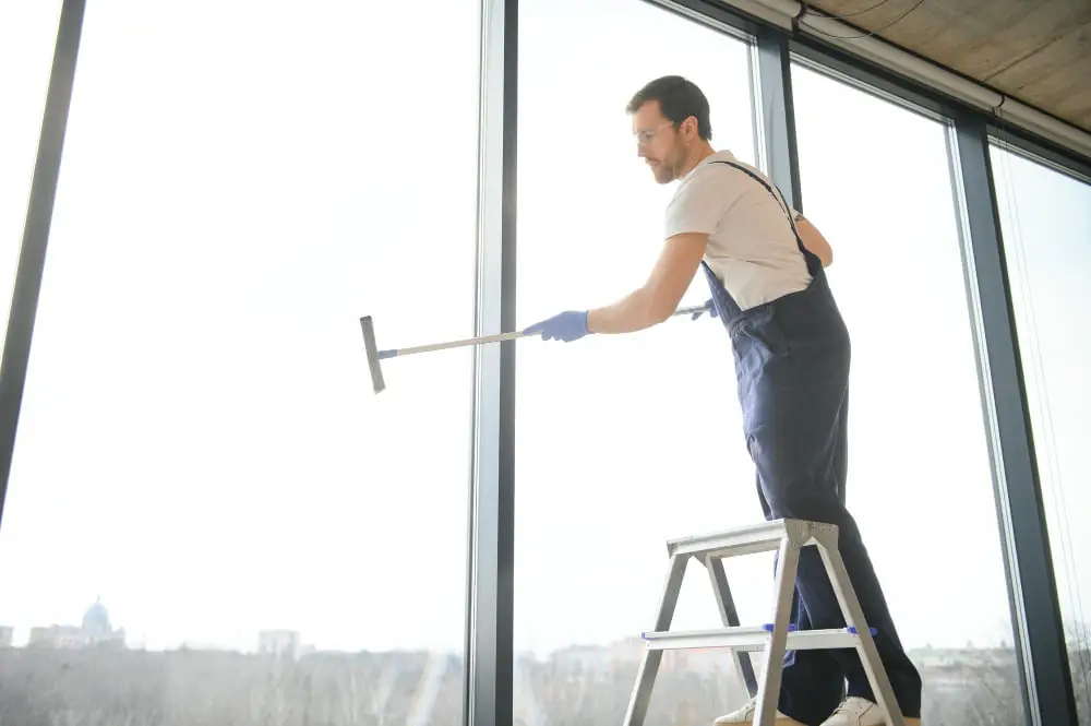 professional window cleaner