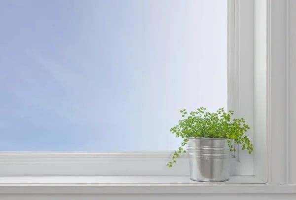 Rocky Mountain Windows & Doors Window Replacement Company