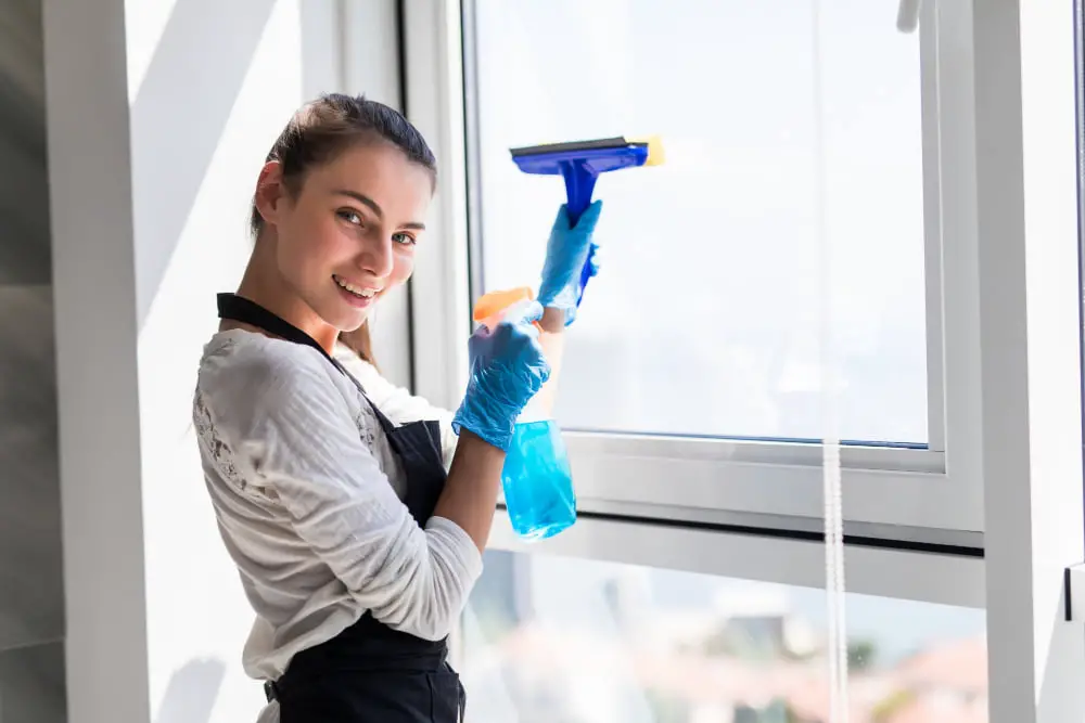 window cleaning trainee
