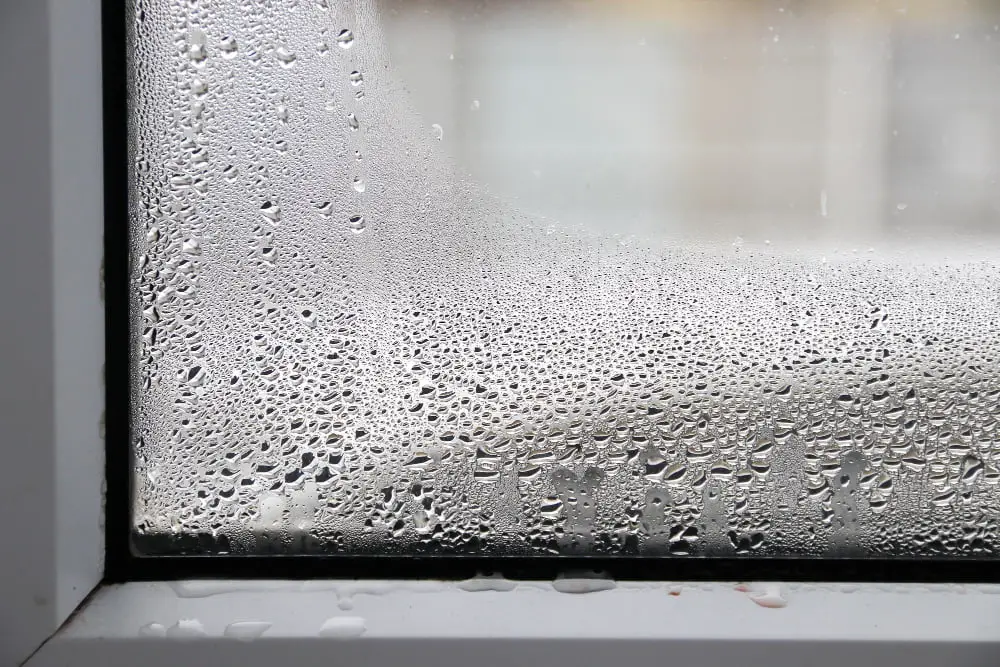 window condensation