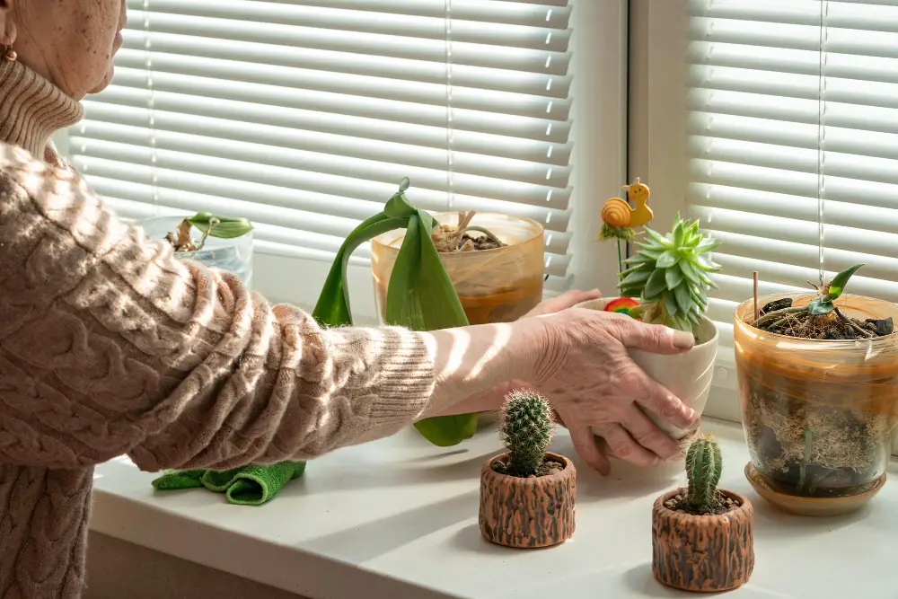 Removing Pots From Window Sill