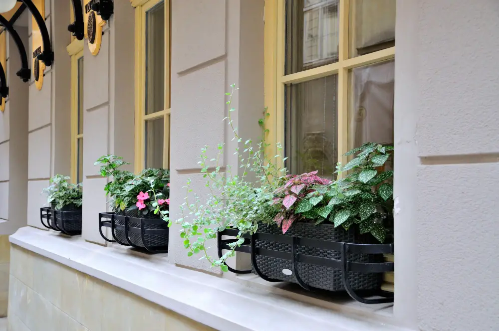 Have the Right Planters