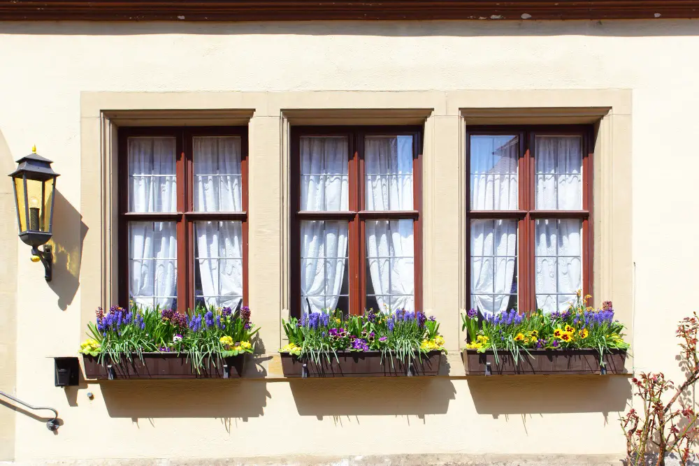 Window Placement: Maximizing Natural Light for Your Plants
