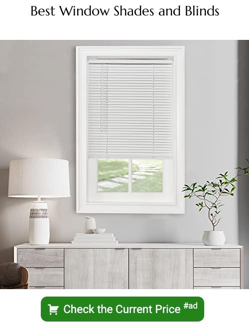 best window shades and blinds