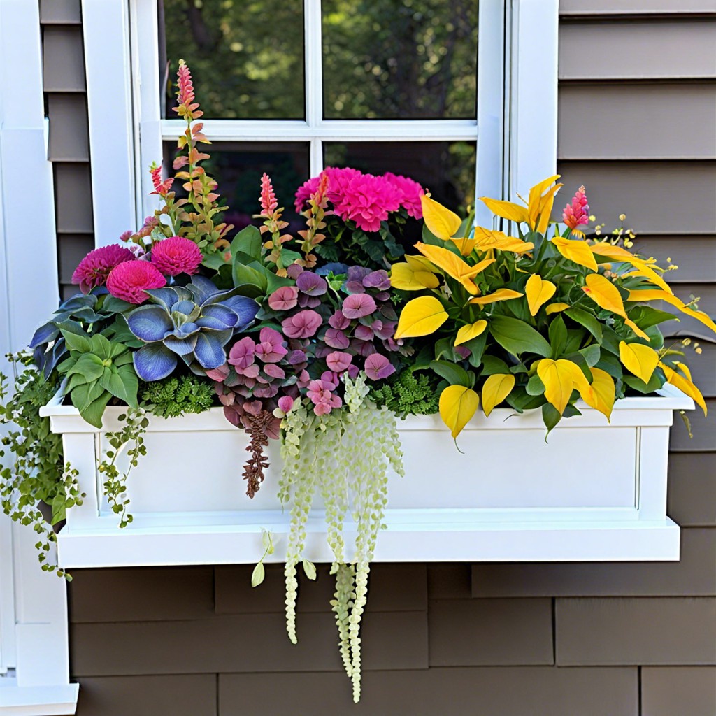 window boxes with seasonal plants